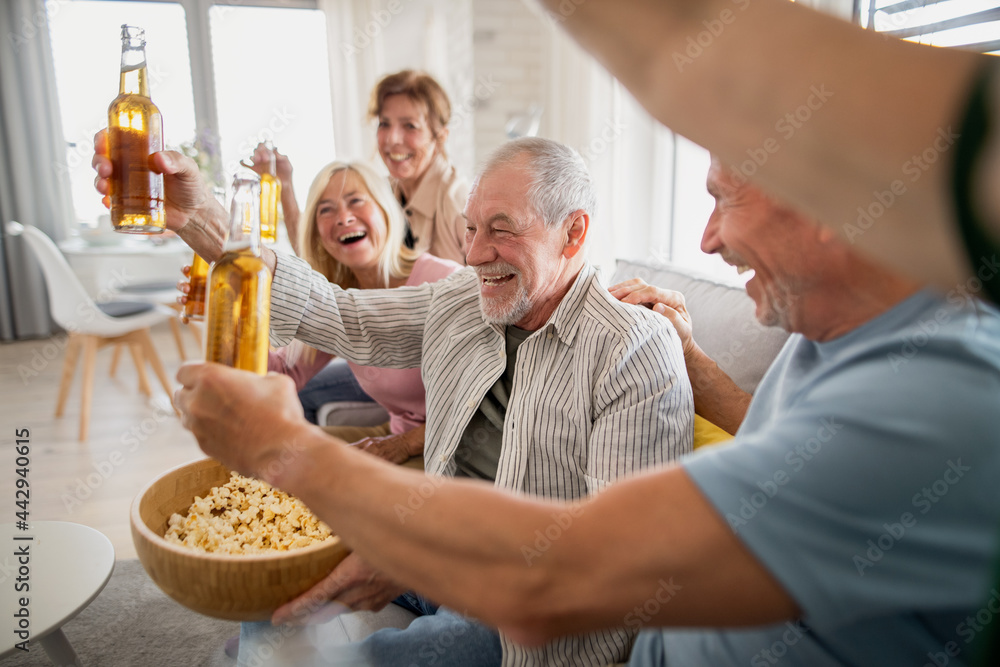 Group of cheerful senior friends watching movie indoors, party, social gathering and having fun concept. Group of cheerful senior friends watching movie indoors, party, social gathering and having fun concept.