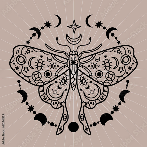 Celestial Moth