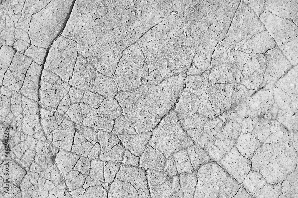 crack on the ground white background / abstract white vintage background broken texture crack on the ground white background / abstract white vintage background broken texture