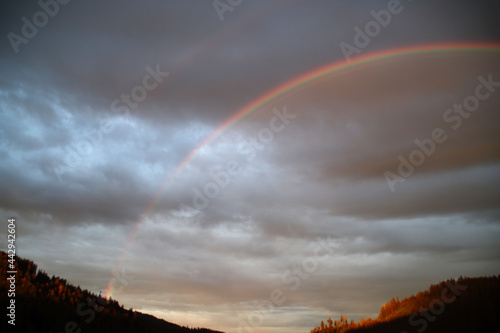 Ein Regenbogen   ber dem Schwarzwald