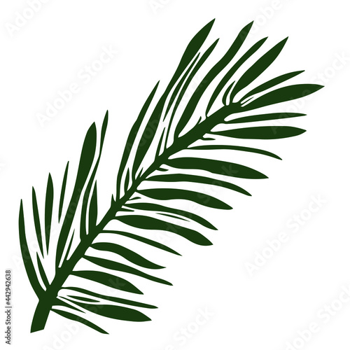 Palm leaf element in green on white background. Tropical series