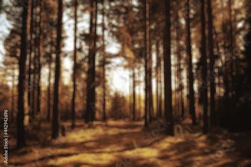 landscape summer forest glare sun bokeh blurred background  abstract view of trees