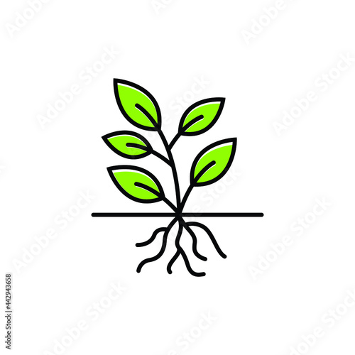 plant root logo icon design template vector