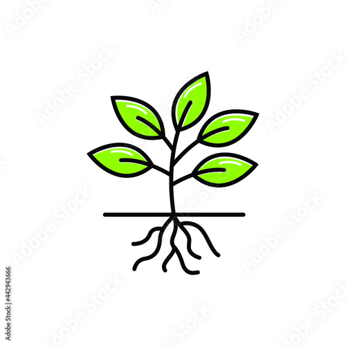 plant root logo icon design template vector