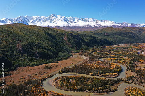 landscape altai russia, autumn top view, drone over the forest