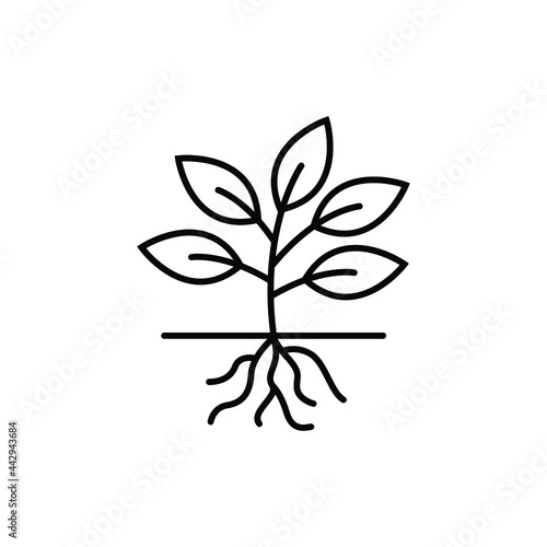 plant root logo icon design template vector