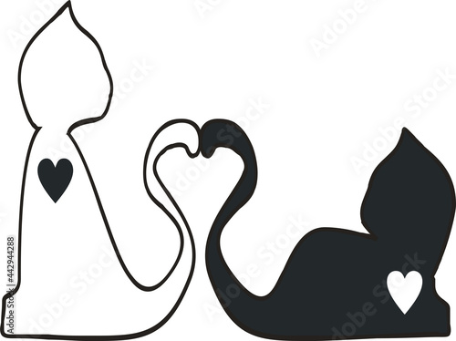 cats in love