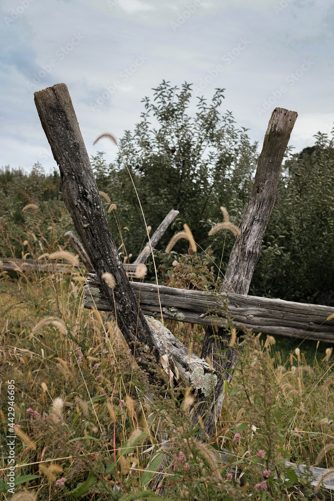 old rustic wood fence on a farm surrounded by tall grass