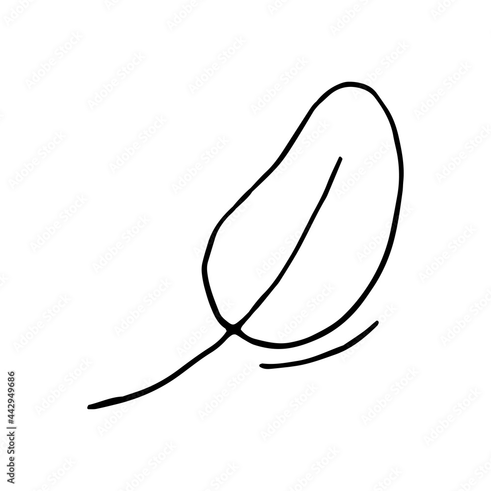 Plant leaf, tree. Spinach. Summer. Vector hand-drawn doodle illustration. Silhouette. Black and white outline. Coloring. Plant leaf, tree. Spinach. Summer. Vector hand-drawn doodle illustration. Silhouette. Black and white outline. Coloring.