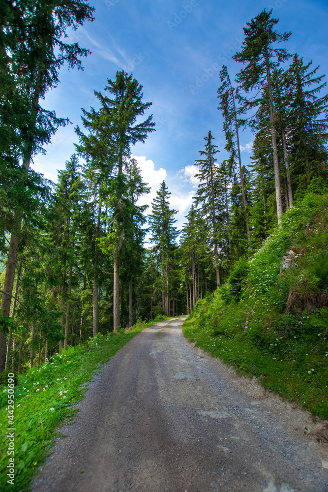 hiking path near Ischgl (Tyrol, Austria)