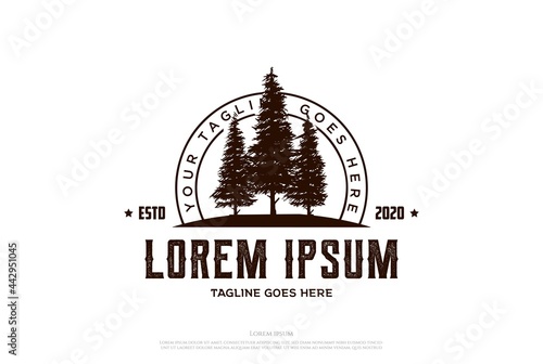Retro Vintage Hipster Pine Spruce Evergreen Cedar Conifer Coniferous Larch Cypress Hemlock Tree Forest Logo Design Vector