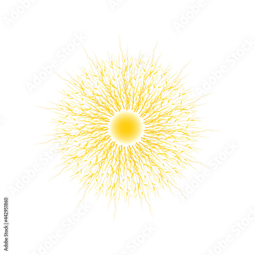The sun with bright warm rays on a white background.