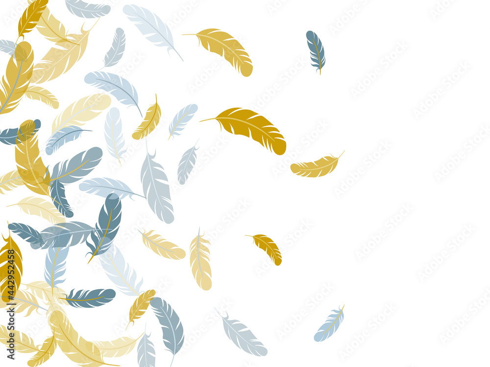 Falling feather elements soft vector design. Falling feather elements soft vector design.