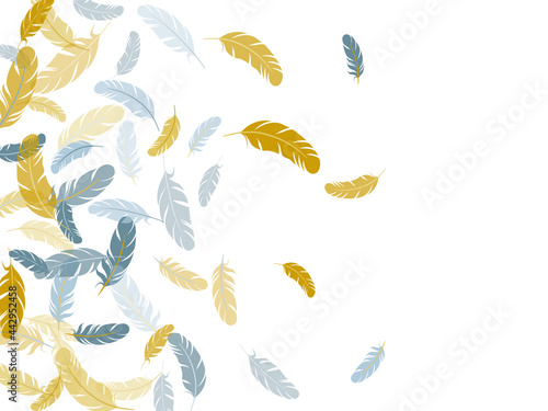 Falling feather elements soft vector design.