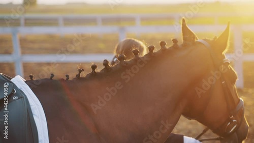 Girl taking her horse for a ride holding its lead rope in the sandy arena during the golden hour. Closeup view of a Seal horse. the horse mane is done in a braid. Light drizzling. Horse riding for photo