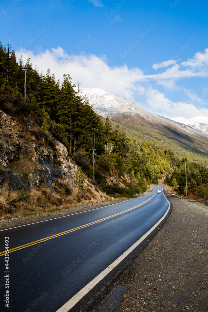 Naklejka premium Road Trip