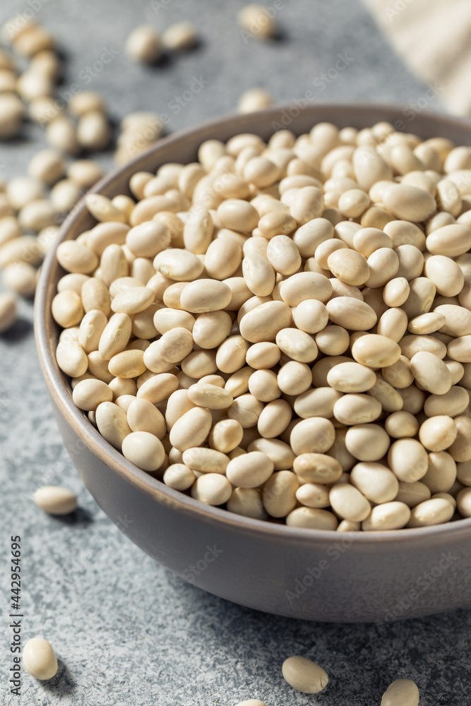 Healthy Organic Dry White Beans Healthy Organic Dry White Beans