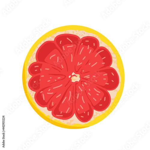 Fresh red grapefruit  hand-drawn vector illustration. Farm fresh pomelo for vegatarian diet. Organic ingredient for juice.  