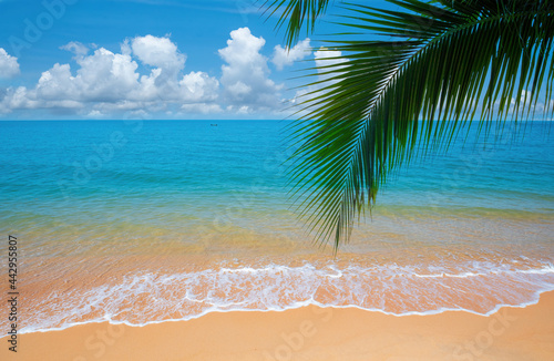 Bright day on a tropical beach Palm trees and paradise of the sea