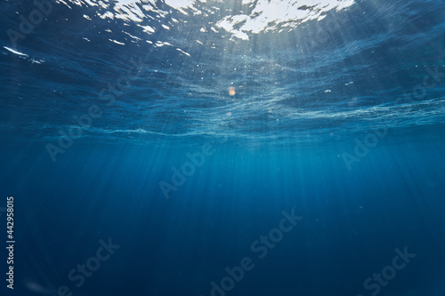 underwater view of the sea