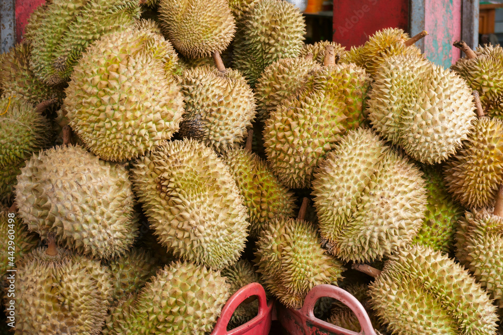 Durian in the market.Taste of durian fruit buffet festival Durian in the market.Taste of durian fruit buffet festival