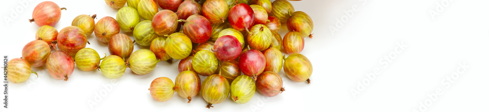 Red gooseberry isolated on white background. There is free space for text. Wide photo. Red gooseberry isolated on white background. There is free space for text. Wide photo.