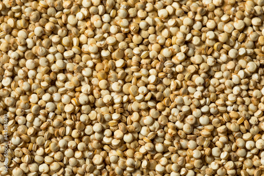 Raw Organic White Quinoa Raw Organic White Quinoa