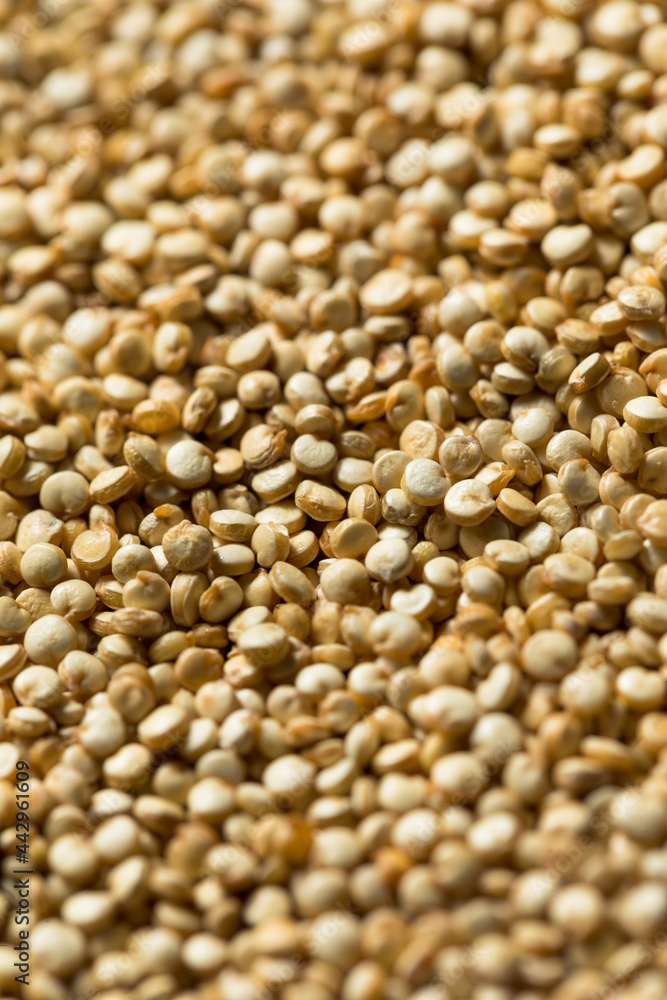 Raw Organic White Quinoa Raw Organic White Quinoa