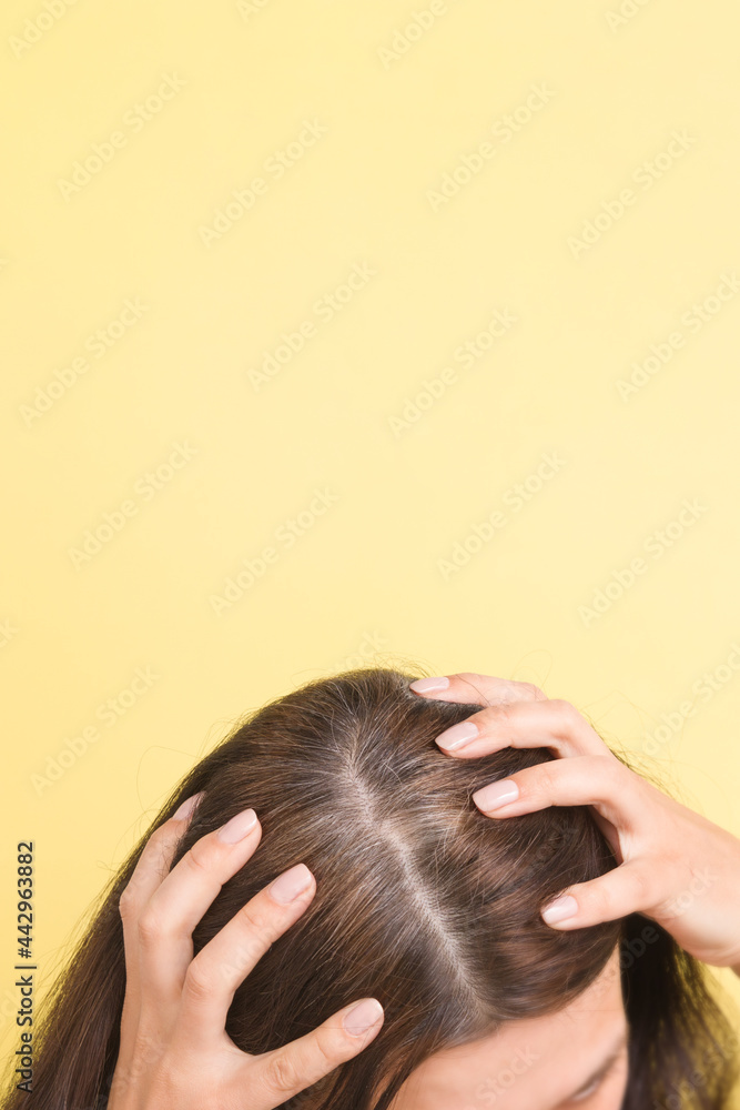 Naklejka premium The woman shows gray hair on her head. Hair with fragments of gray hair requiring coloring on a yellow background with copy space