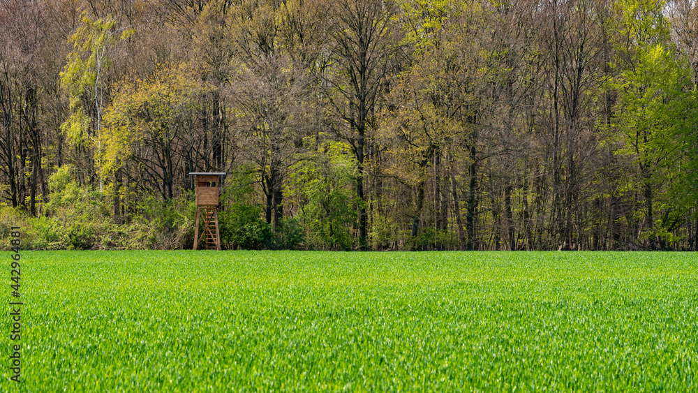 Hunter house in forest. Wooden Hunting Lodge