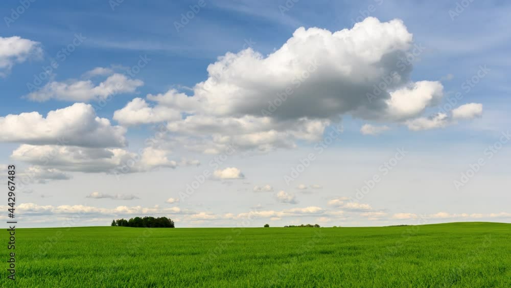 Fast Running white Clouds move across a blue sky over a green field. Sky Time lapse. Sky with clouds weather nature cloud. 4K UHD. Fast Running white Clouds move across a blue sky over a green field. Sky Time lapse. Sky with clouds weather nature cloud. 4K UHD.