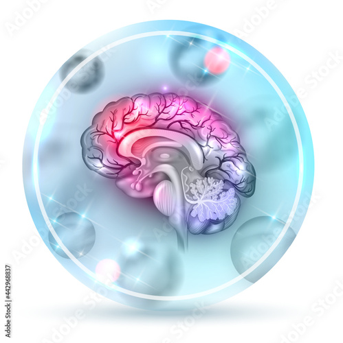 Human brain illustration round icon design bright colorful drawing with abstract balls on a light blue background.
