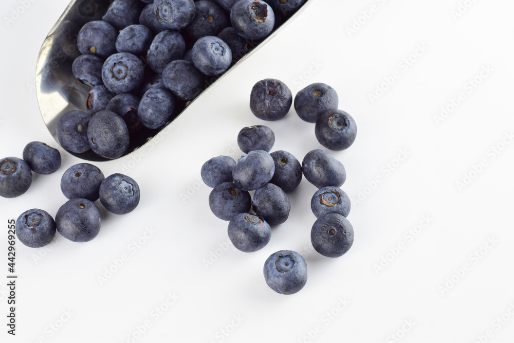Zenith view. Blueberries in a metal scoop and scattered on the white background Zenith view. Blueberries in a metal scoop and scattered on the white background