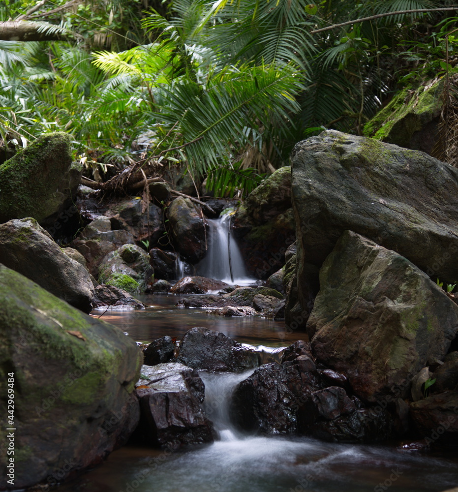 Slow motion timelapse of small river and water falling Daintree Rain Forest, Australia Slow motion timelapse of small river and water falling Daintree Rain Forest, Australia