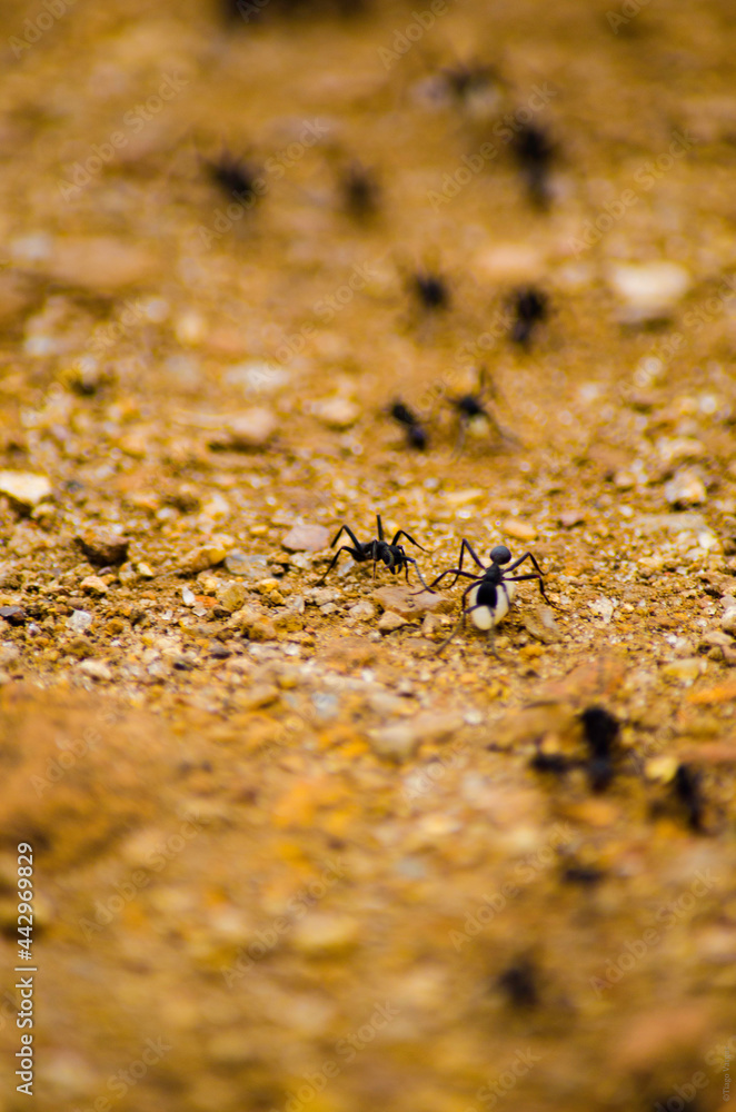 Trilhando caminhos Trilhando caminhos