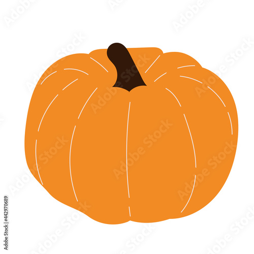 Pumpkin for celebration design. Harvest season.
