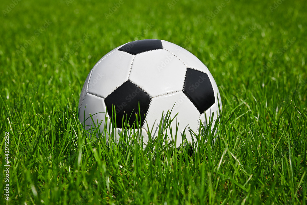 Football ball in green grass of soccer field Football ball in green grass of soccer field