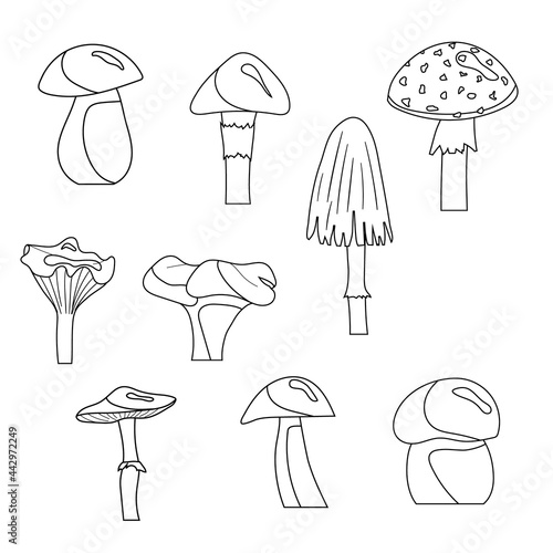 A set of mushroom coloring pages. Vector isolated on a white background