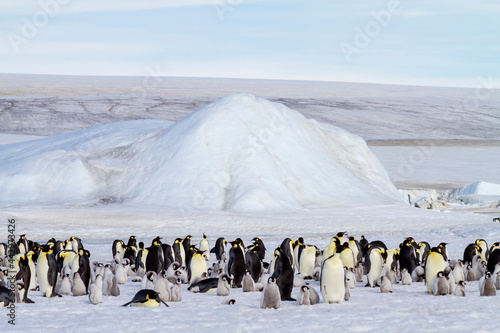 Antarctica Snow Hill. The emperor penguin rookery is on the pack ice near Snow Hill. photo