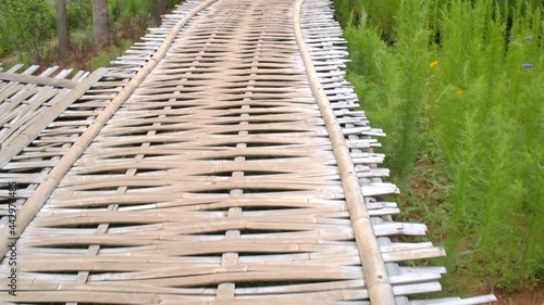 amboo walkway traditional of upcontry famer, wooden rural footpath over the flower farm photo