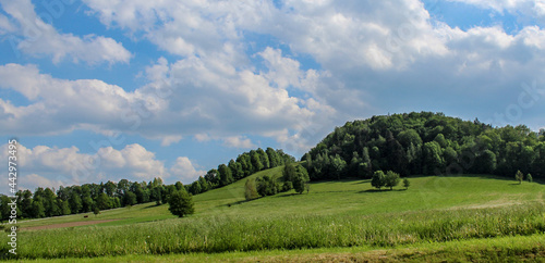 Fototapeta Naklejka Na Ścianę i Meble -  hills covered with forest