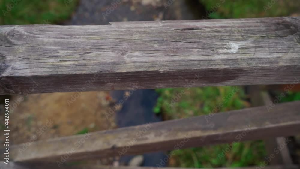 bench in the garden near with river bench in the garden near with river