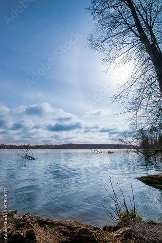 Lake in the woods of Brandenburg  Germany 