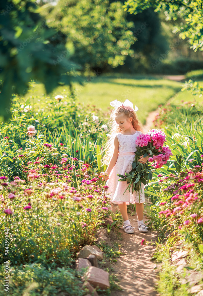 little girl with a large bouquet of peonies. A child walks in the park with flowers in the summer. little girl with a large bouquet of peonies. A child walks in the park with flowers in the summer.