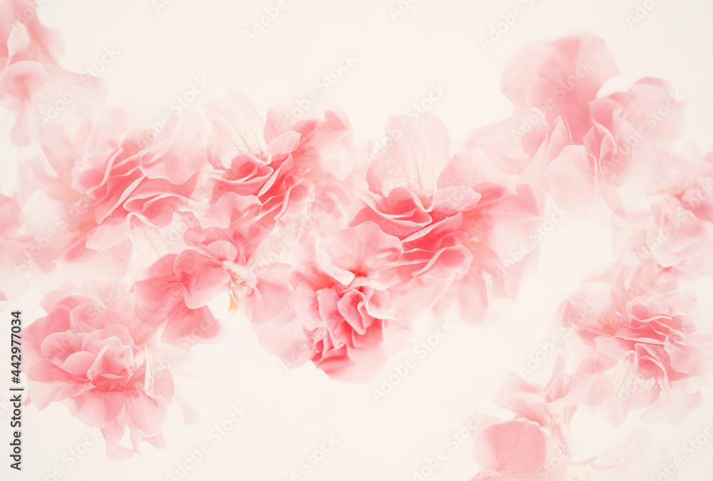 Vegetable background. Pink pion. Soft focus Vegetable background. Pink pion. Soft focus
