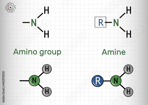 Amino group (primary, -NH2) and amine compound. It is functional group comprised of nitrogen atom linked to hydrogen atoms. Amino group attached to an organic compound is an amine