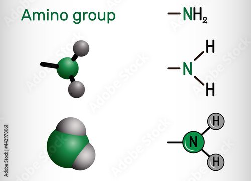 Amino group, (primary, -NH2). It is functional group comprised of a nitrogen atom linked to hydrogen atoms. Amino group attached to an organic compound is an amine