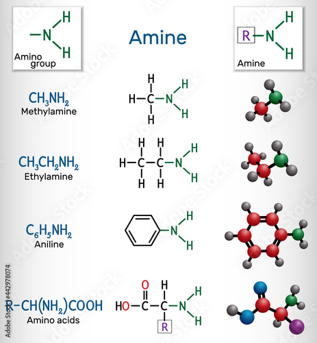 Methylamine, ethylamine, aniline, amino acids molecules. Amines contain a functional amino group –NH2