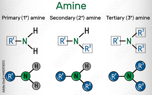 Amino group (primary, secondary, tertiary). It is functional group comprised of nitrogen atom linked with a lone pair. Amino group attached to an organic compound is an amine