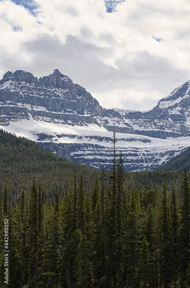 Mountain and Forest Scenery in Jasper National Park Mountain and Forest Scenery in Jasper National Park